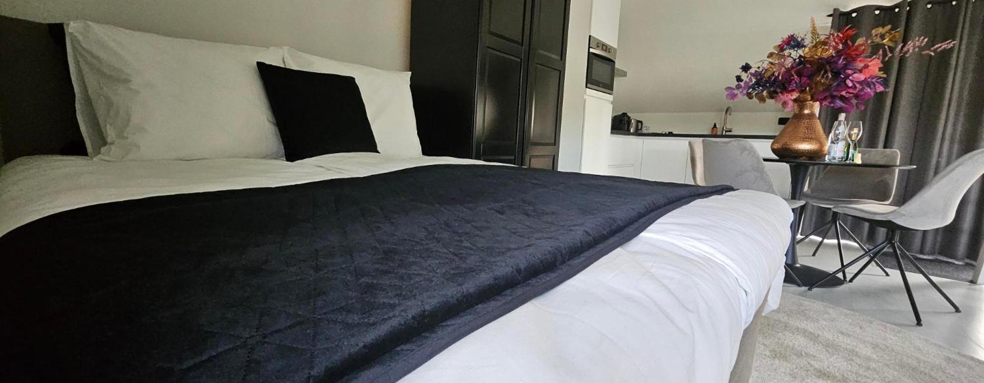 Casa Roberto Apartment Alkmaar Ngoại thất bức ảnh